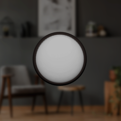 Progress Disappear Front