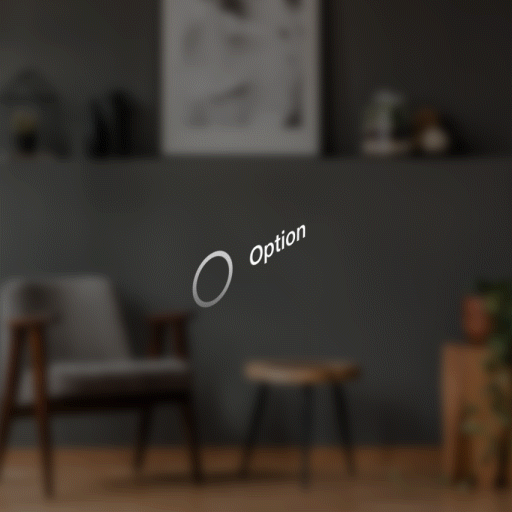 Radio Button Enter Perspective