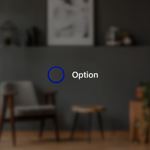 Radio Button Interact Front