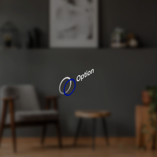 Radio Button Interact Perspective