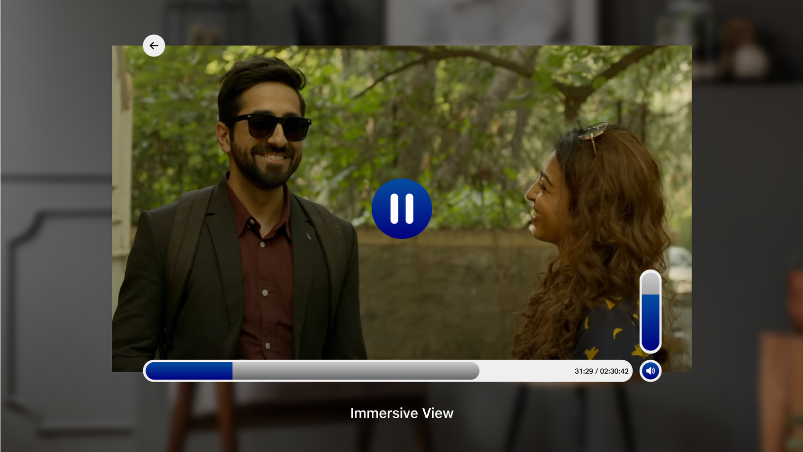 Video Immersive View